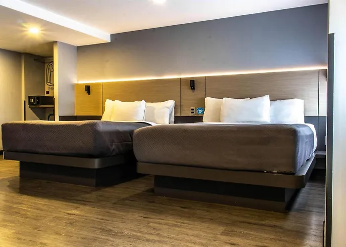 Mx Aeropuerto Cdmx, Trademark Collection By Wyndham Hotel 4*