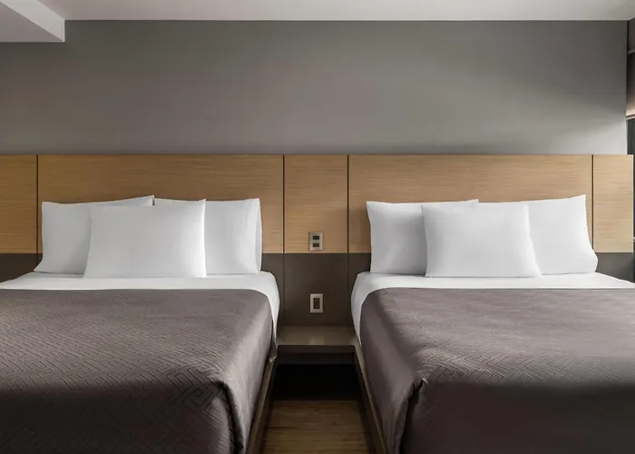 Mx Aeropuerto Cdmx, Trademark Collection By Wyndham Hotel Mexico City